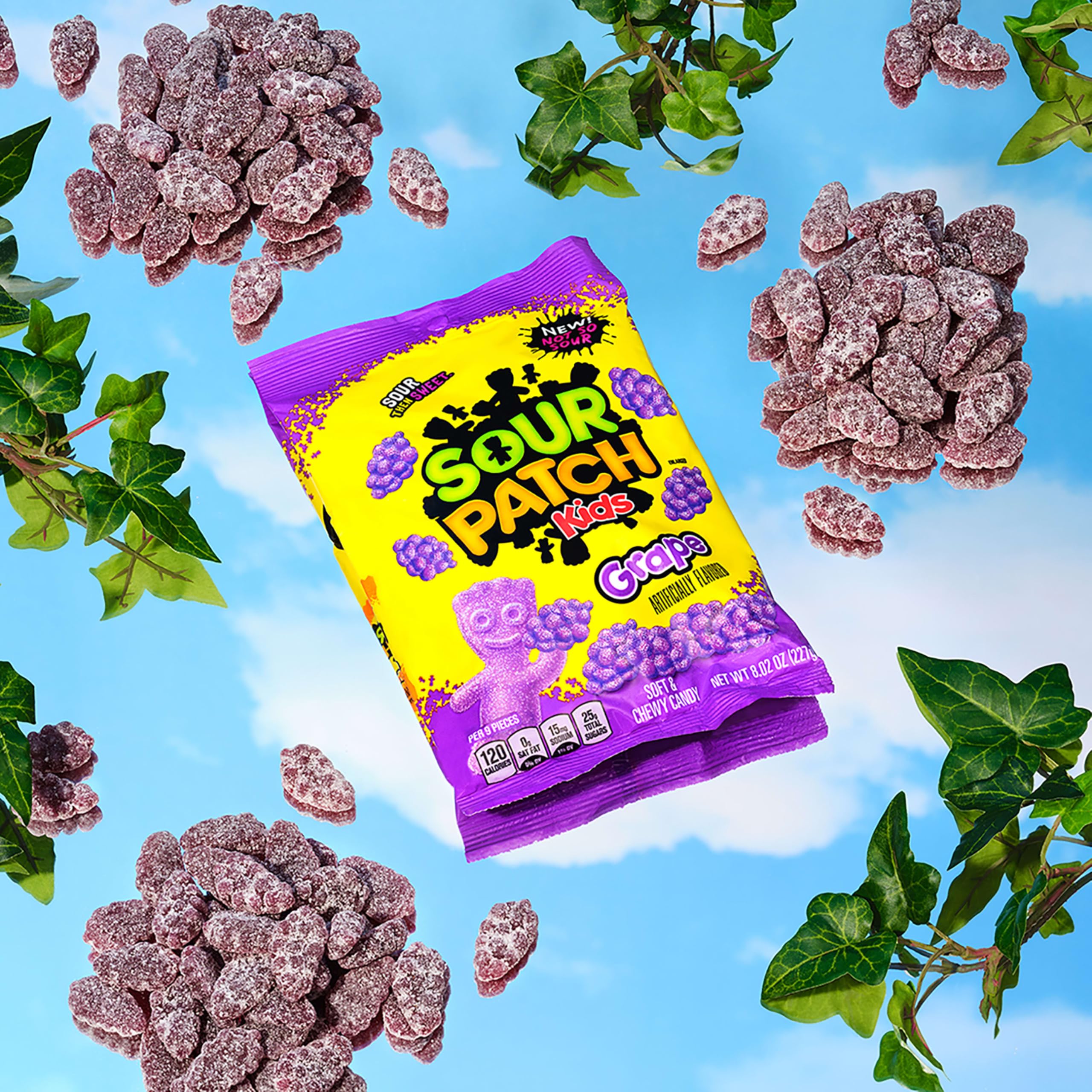 SOUR PATCH KIDS Grape Soft & Chewy Gummy Candy, Bulk Candy, 12-8.02 oz Bags - Image 11
